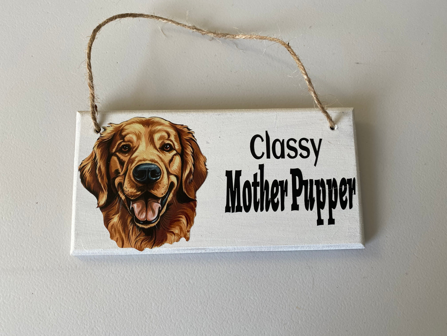Dog hanging plaque 'classy'