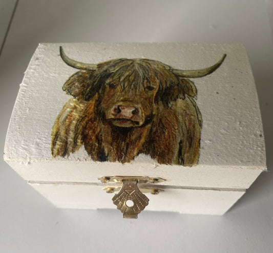 Small trinket box highland coo