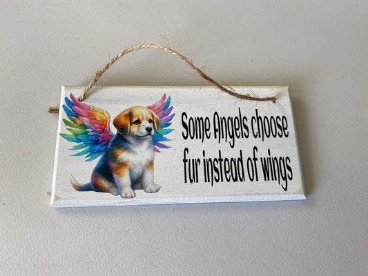 Dog memorial hanging plaque 'some angels'