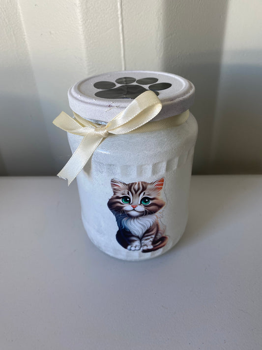 Cat treats jar