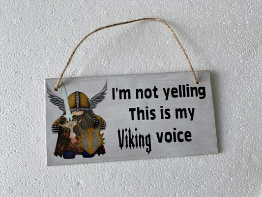 Viking plaque Viking voice