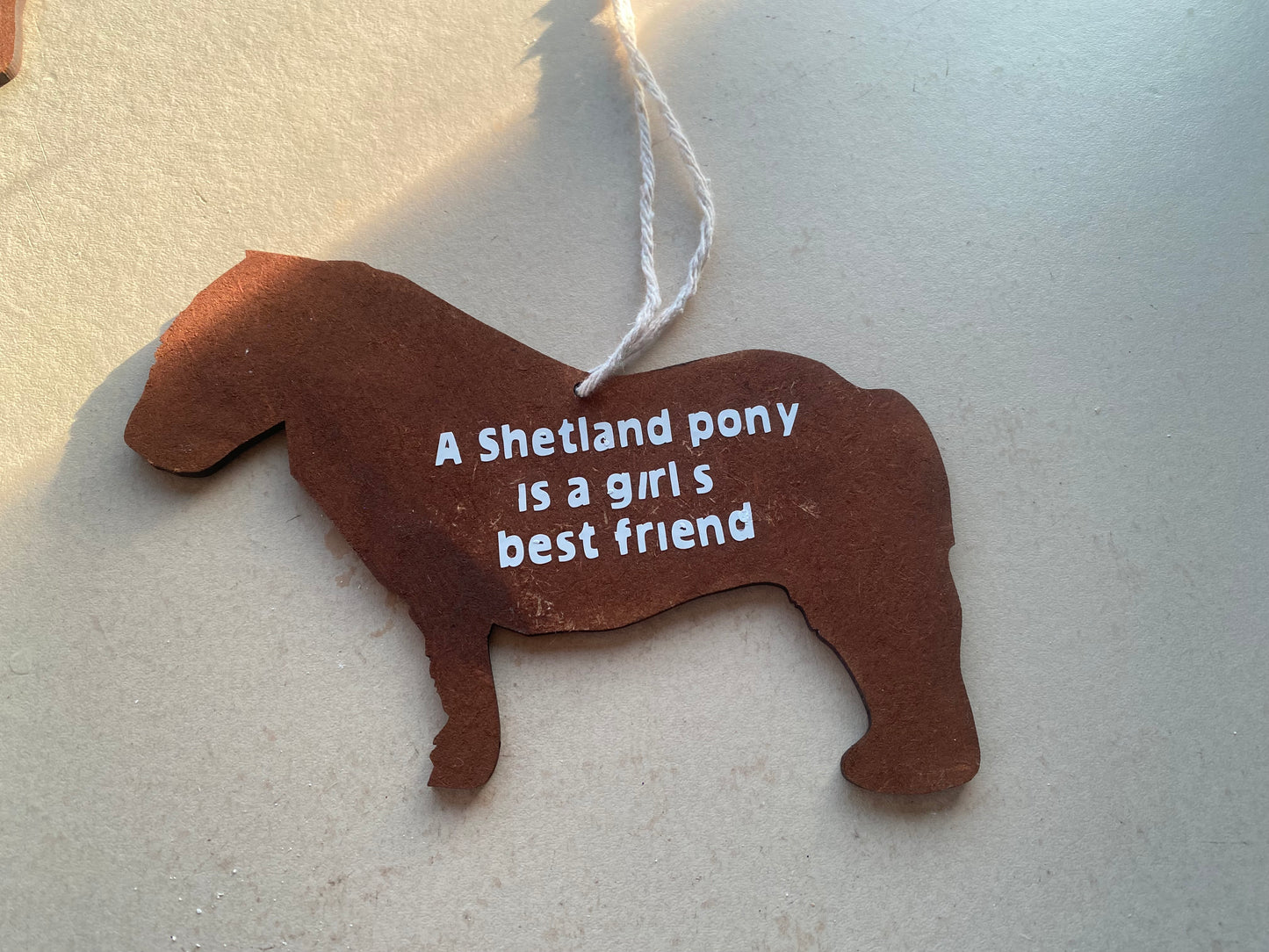 Shetland pony plaque girls best friend