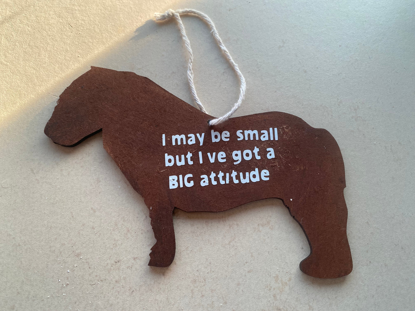 Shetland pony plaque big attitude