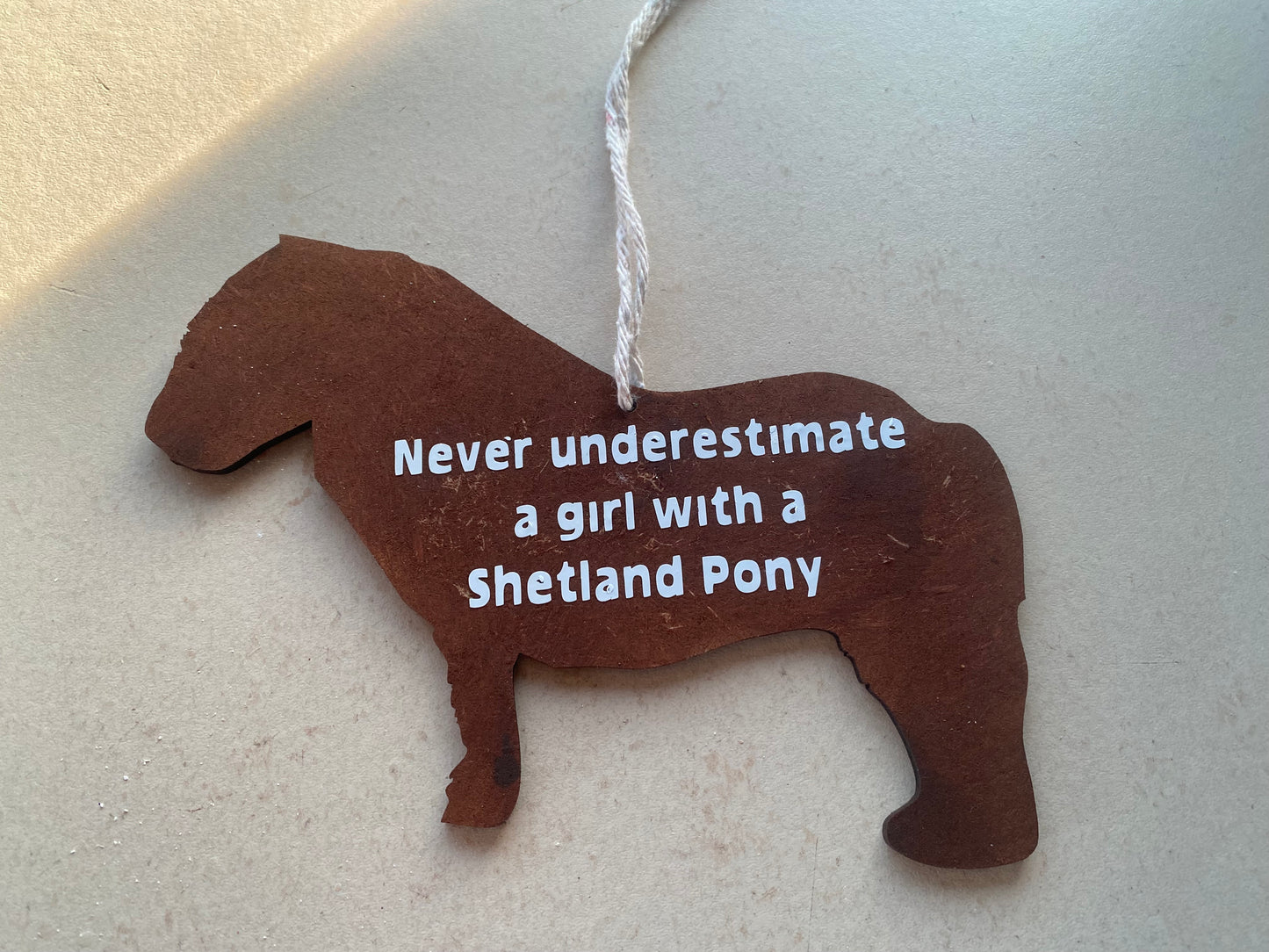 Shetland pony plaque never underestimate